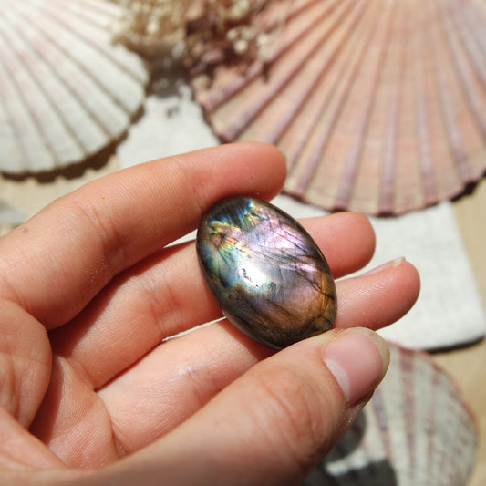 Labradorit Cabochon ~ 24XC