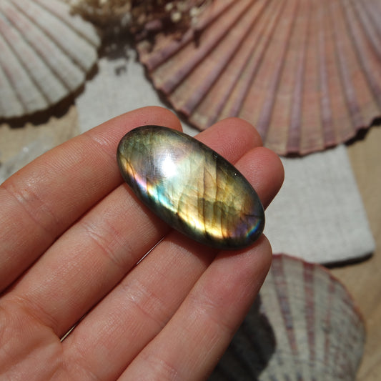 Labradorit Cabochon ~ 24XD