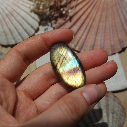 Labradorit Cabochon ~ 24XD