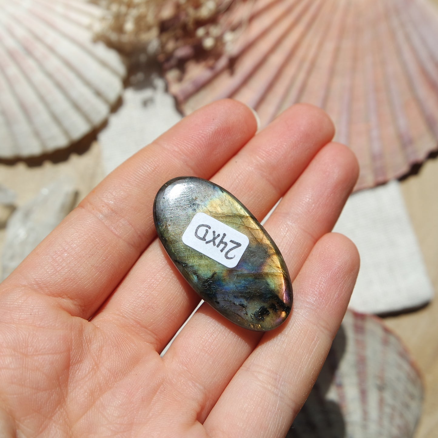 Labradorit Cabochon ~ 24XD