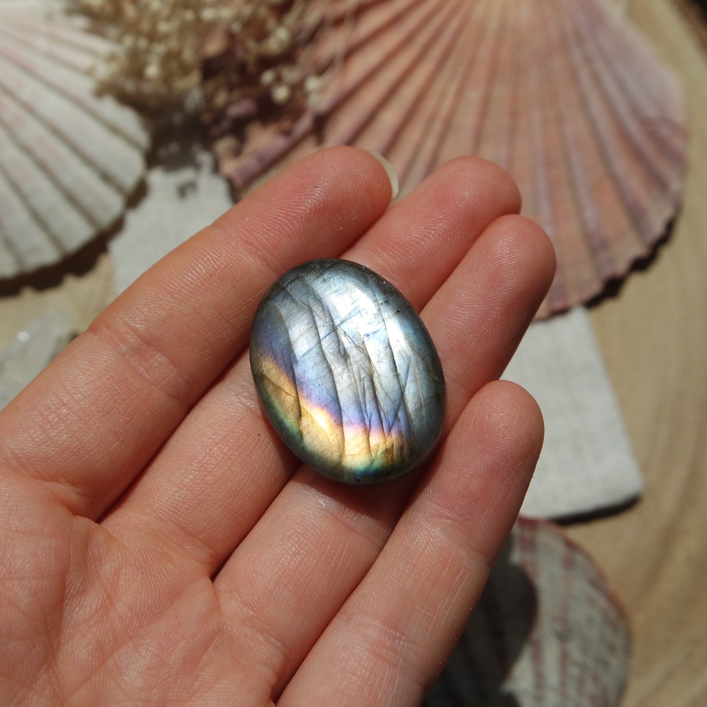 Labradorit Cabochon ~ 24XF