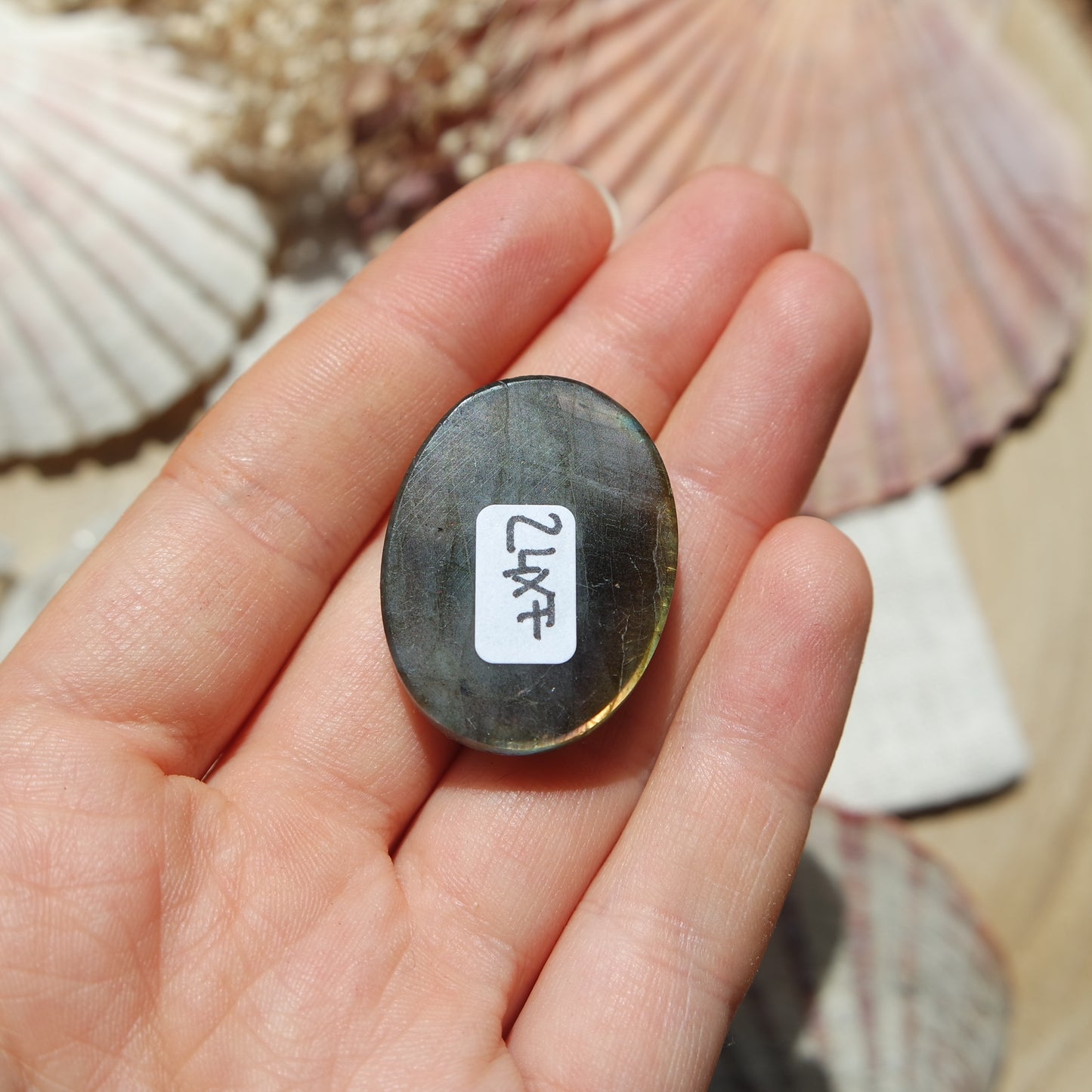 Labradorit Cabochon ~ 24XF