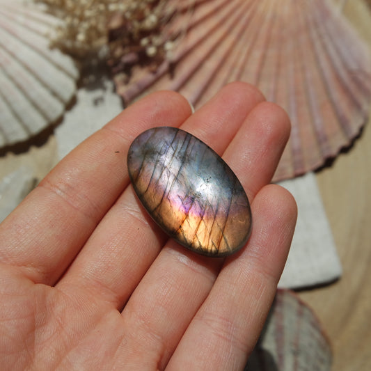 Labradorit Cabochon ~ 24XG