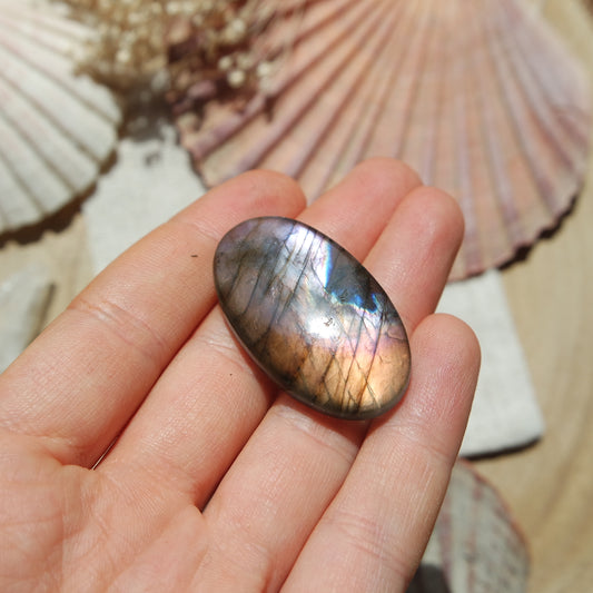 Labradorit Cabochon ~ 24XG