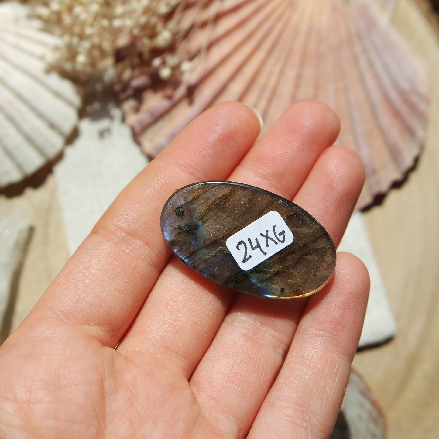 Labradorit Cabochon ~ 24XG