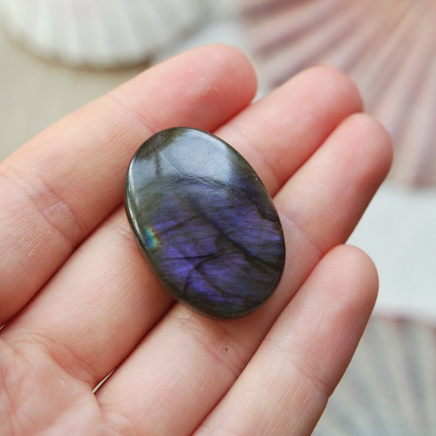 Lila Labradorit Cabochon ~ 21XN