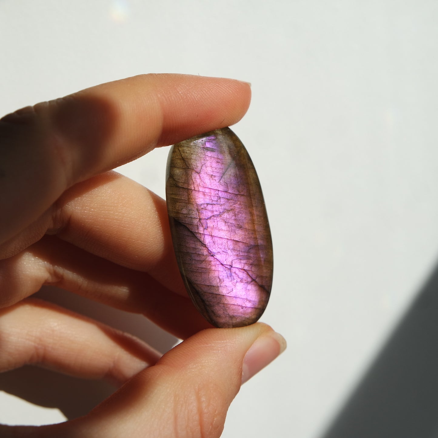 Lila Labradorit Cabochon ~ 21XW