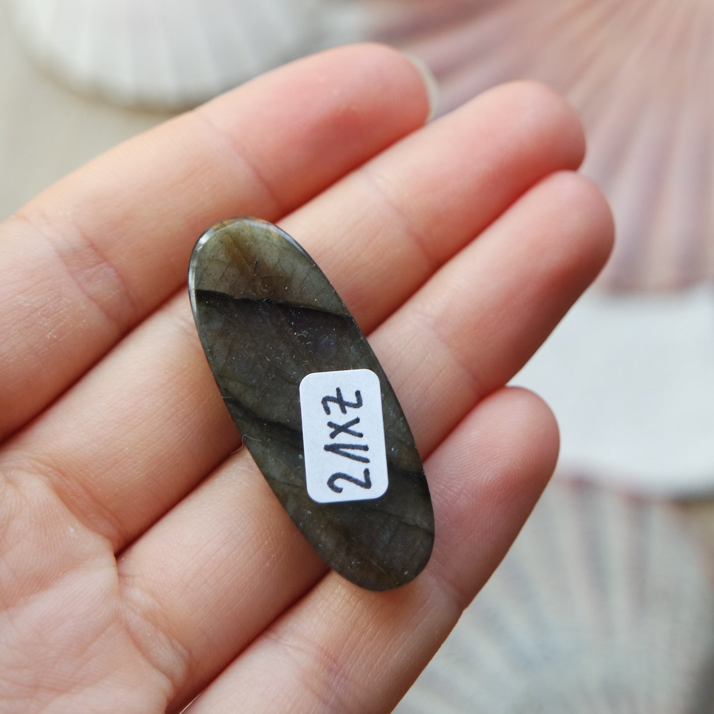 Lila Labradorit Cabochon ~ 21XZ