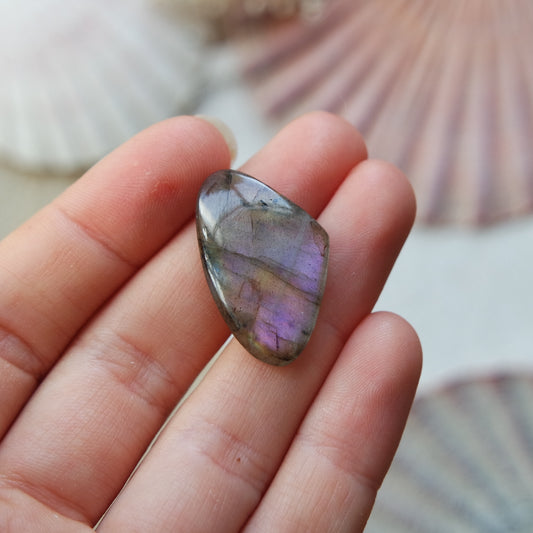 Lila Labradorit Cabochon ~ 10XE