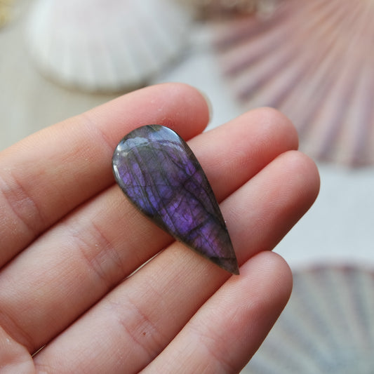 Lila Labradorit Cabochon ~ 10XG