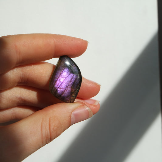 Lila Labradorit Cabochon ~ 10Xi