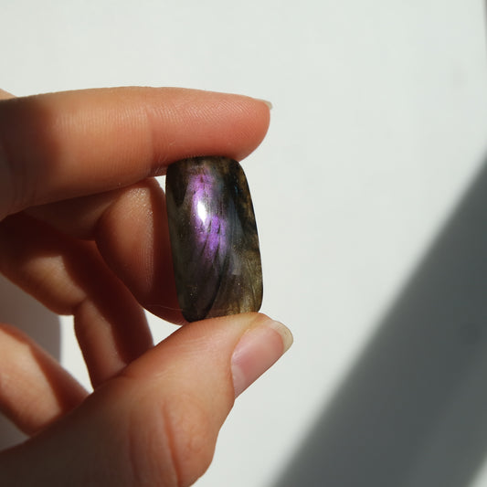 Lila Labradorit Cabochon ~ 10Xj