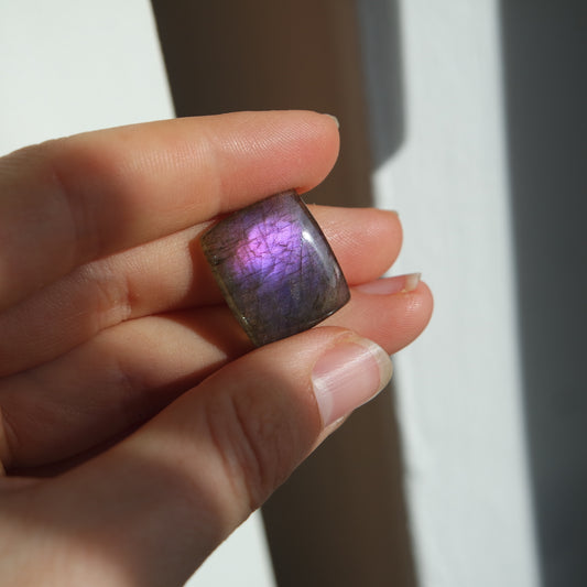 Lila Labradorit Cabochon ~ 10XK