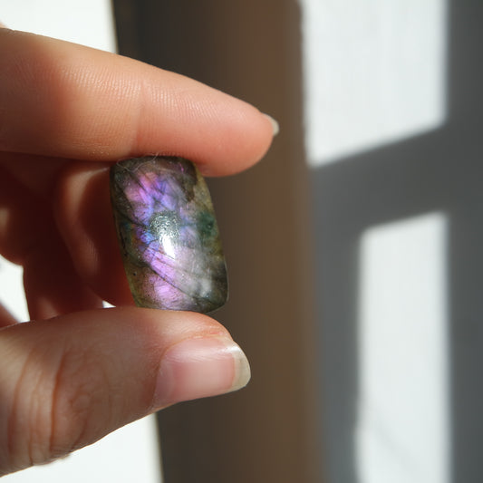 Lila Labradorit Cabochon ~ 10XL