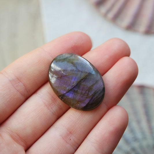 Lila Labradorit Cabochon ~ 14XC