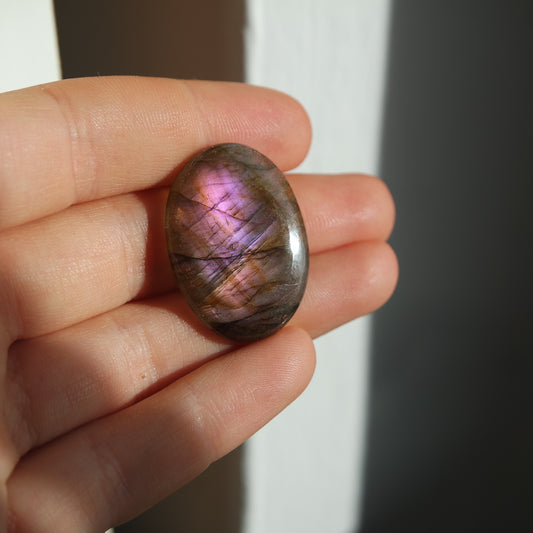 Lila Labradorit Cabochon ~ 14XC