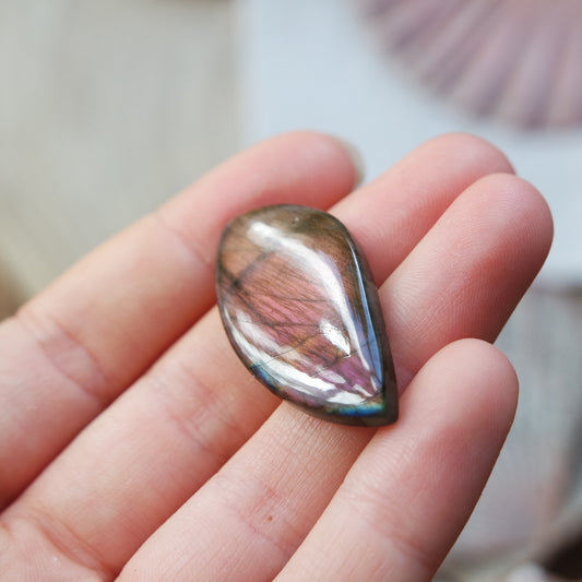 Lila Labradorit Cabochon ~ 14XE