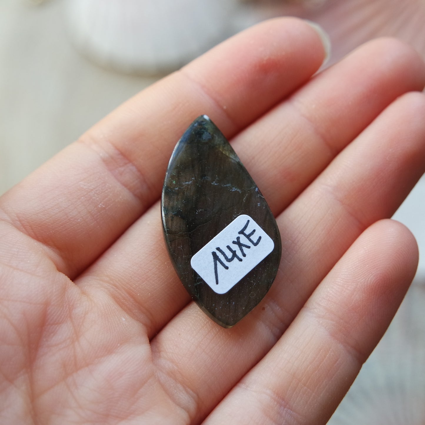 Lila Labradorit Cabochon ~ 14XE