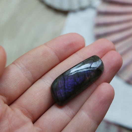 Lila Labradorit Cabochon ~ 16ZJ