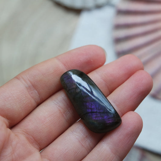 Lila Labradorit Cabochon ~ 16ZJ