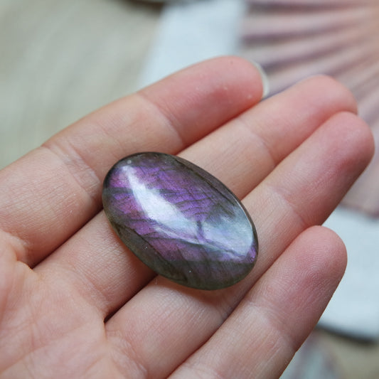 Lila Labradorit Cabochon ~ 16ZF