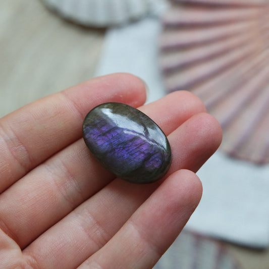 Lila Labradorit Cabochon ~ 16ZA