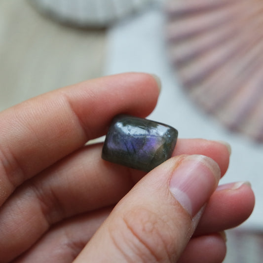 Lila Labradorit Cabochon ~ 7XA