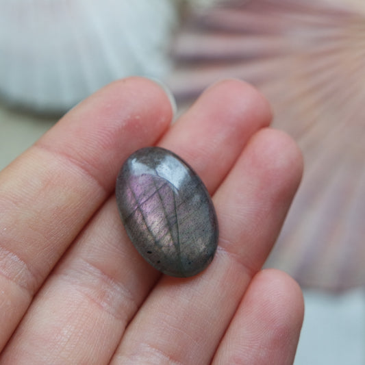 Lila Labradorit Cabochon ~ 7XF