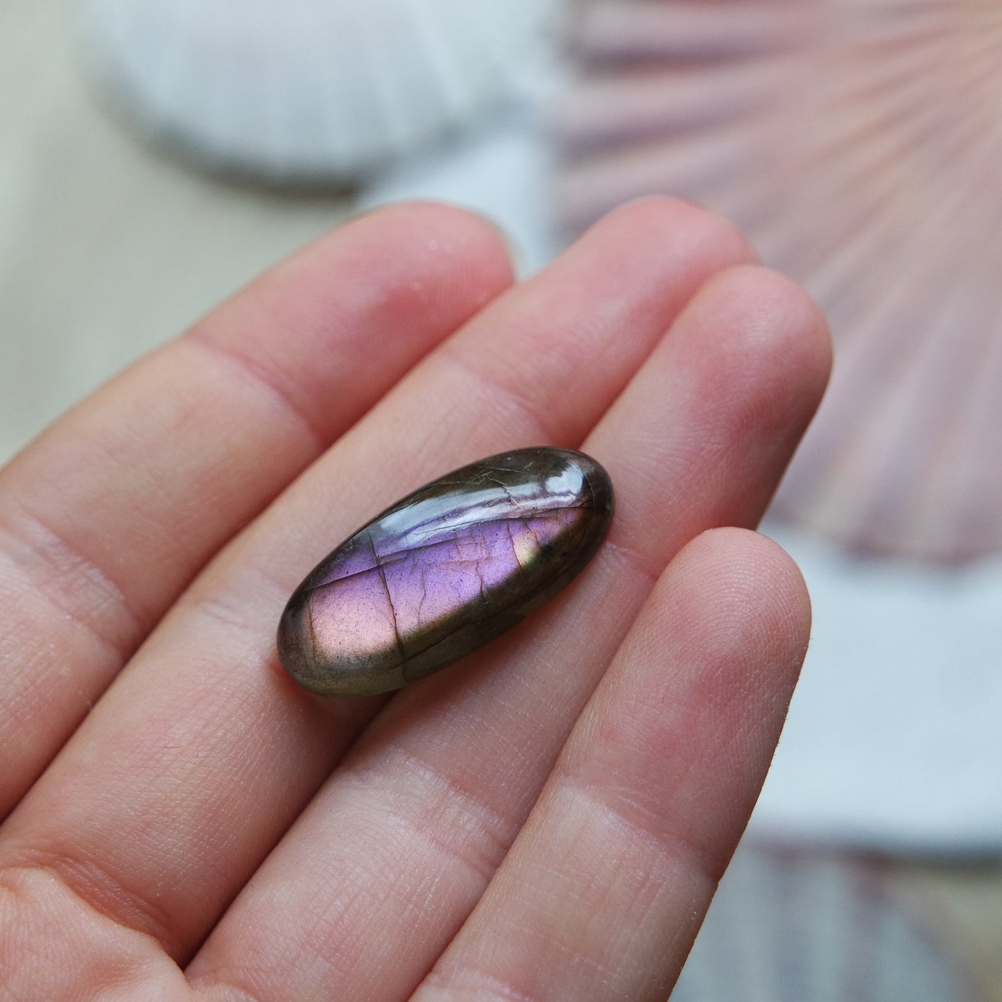 Lila Labradorit Cabochon ~ 7Xi