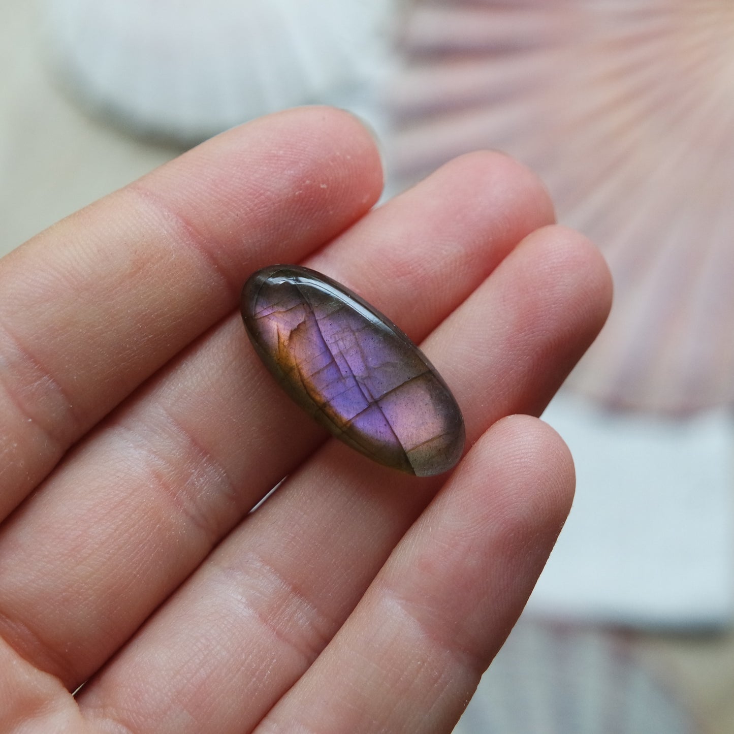 Lila Labradorit Cabochon ~ 7Xi