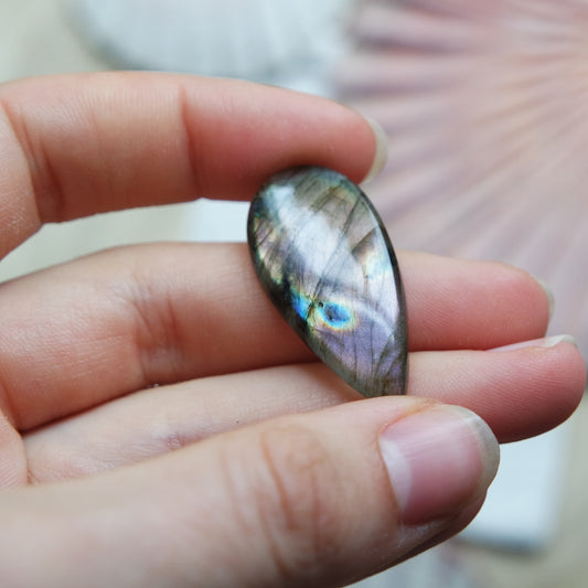 Lila Labradorit Cabochon ~ 12XC