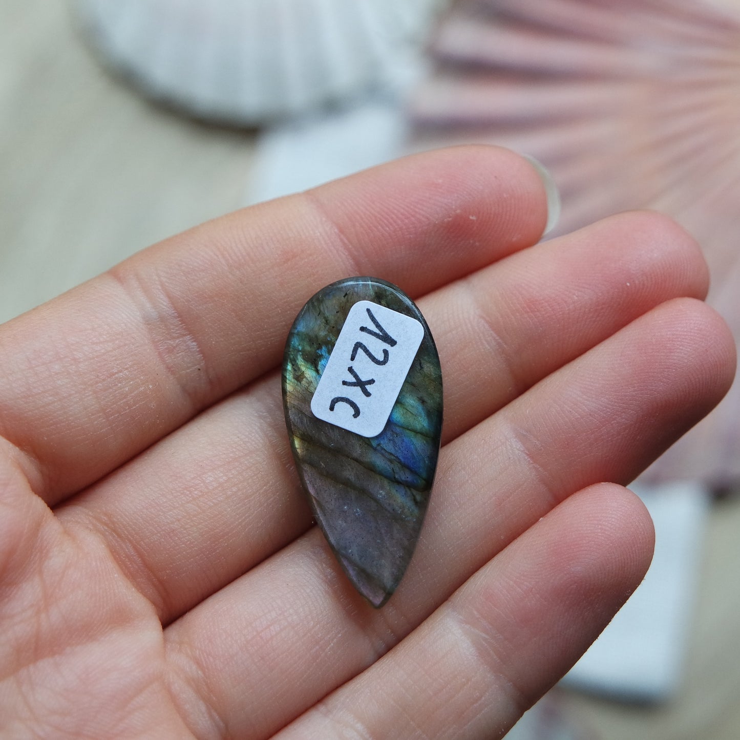 Lila Labradorit Cabochon ~ 12XC