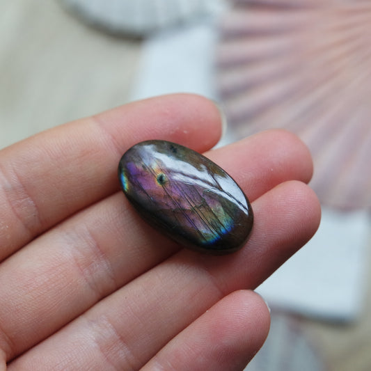 Lila Labradorit Cabochon ~ 12XD
