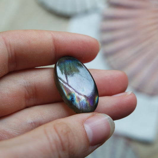 Lila Labradorit Cabochon ~ 12XD