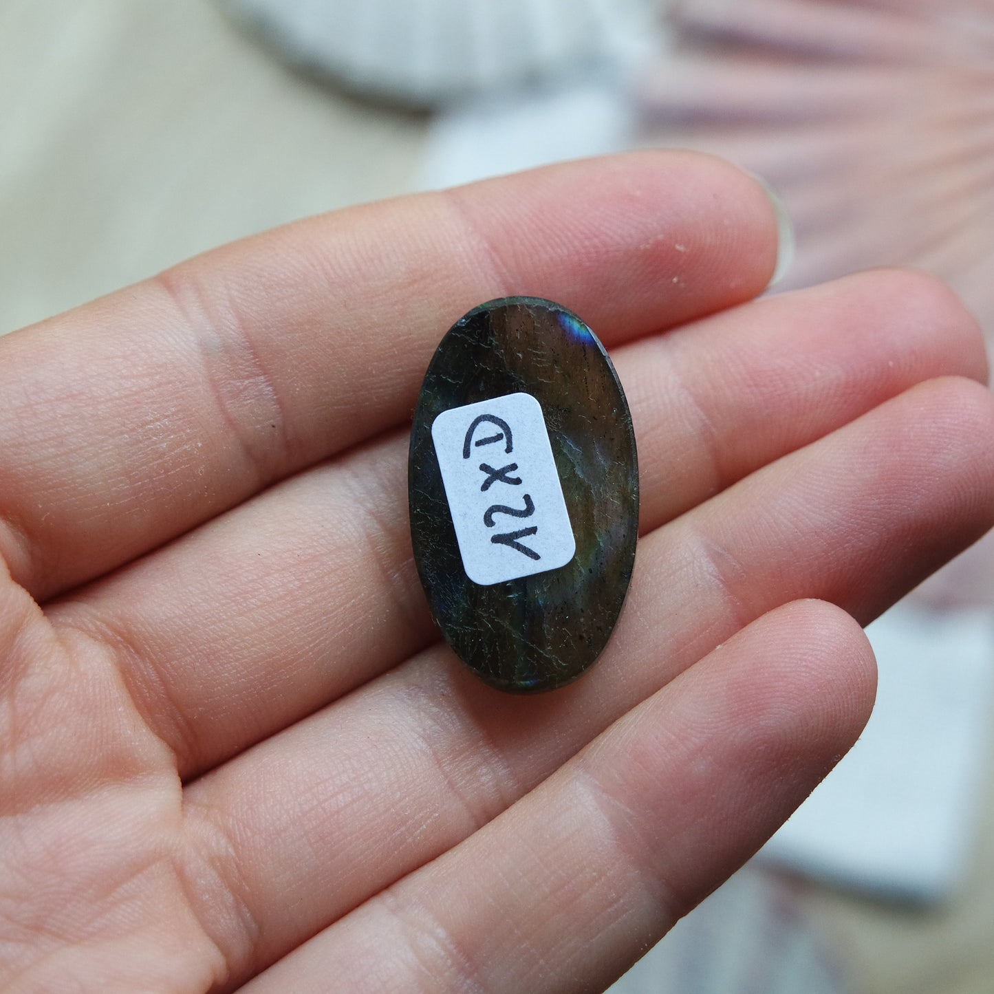 Lila Labradorit Cabochon ~ 12XD