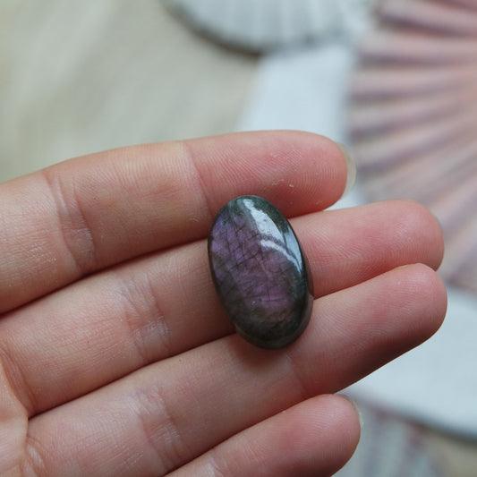 Lila Labradorit Cabochon ~ 12XF