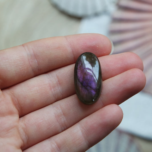 Lila Labradorit Cabochon ~ 12XG