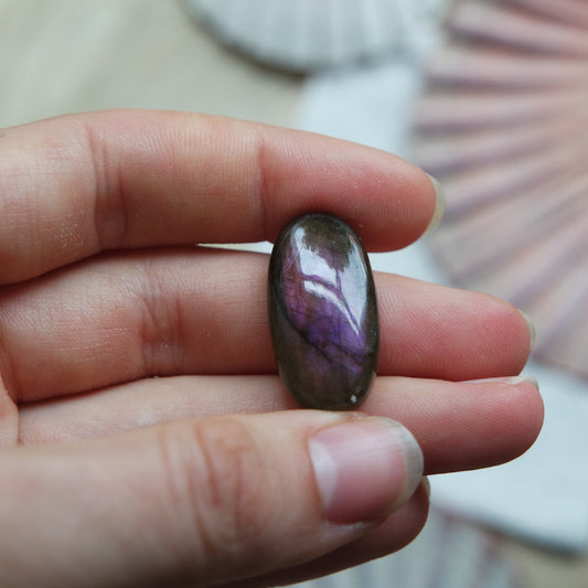 Lila Labradorit Cabochon ~ 12XG