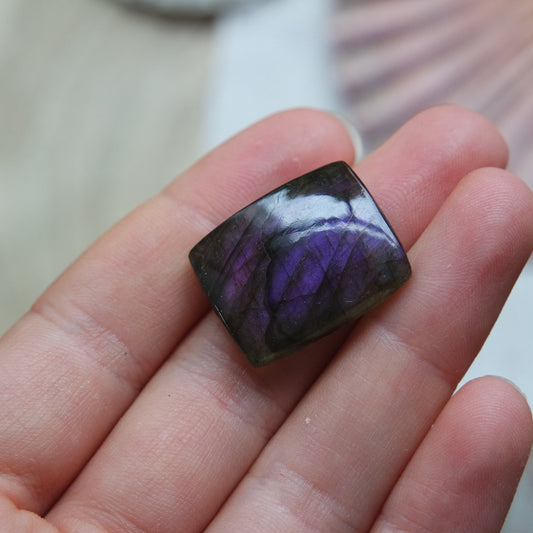 Lila Labradorit Cabochon ~ 12XH