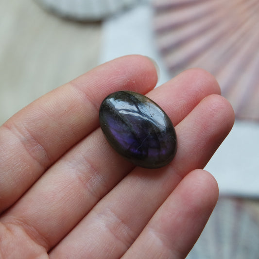 Lila Labradorit Cabochon ~ 12Xj