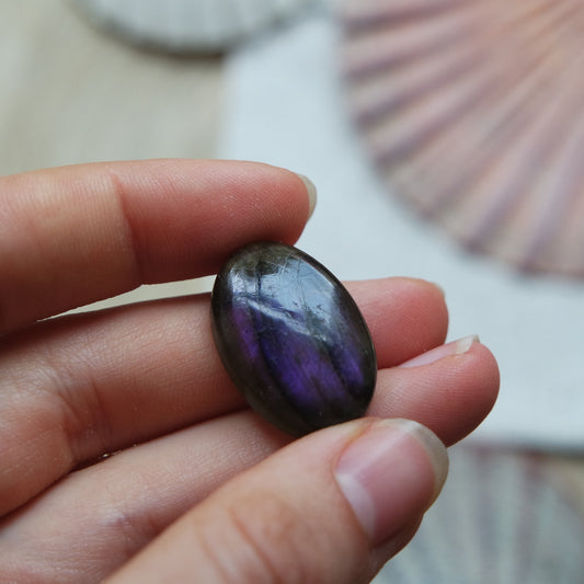 Lila Labradorit Cabochon ~ 12Xj