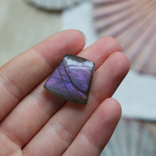 Lila Labradorit Cabochon ~ 12XL