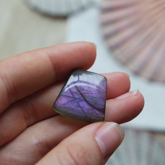 Lila Labradorit Cabochon ~ 12XL