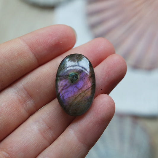 Lila Labradorit Cabochon ~ 12XN