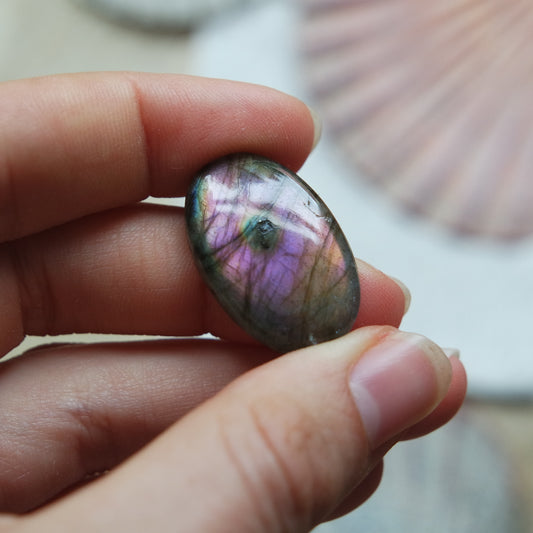 Lila Labradorit Cabochon ~ 12XN