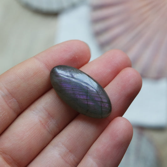 Lila Labradorit Cabochon ~ 12XO