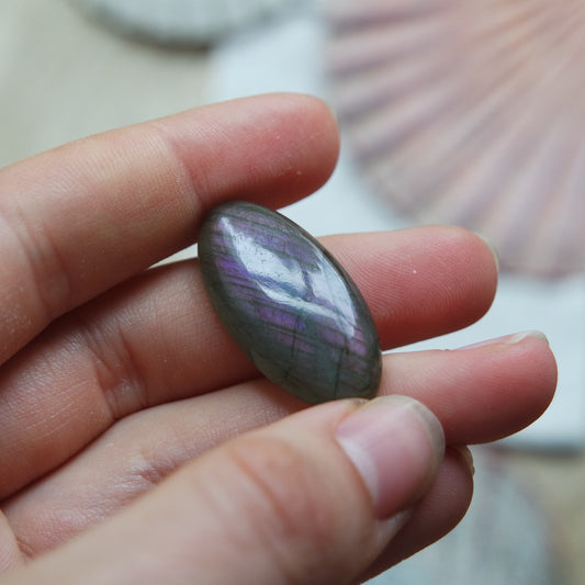 Lila Labradorit Cabochon ~ 12XO