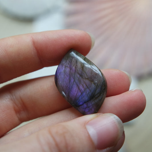 Lila Labradorit Cabochon ~ 12XP
