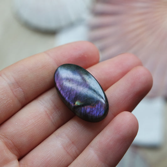 Lila Labradorit Cabochon ~ 12XQ