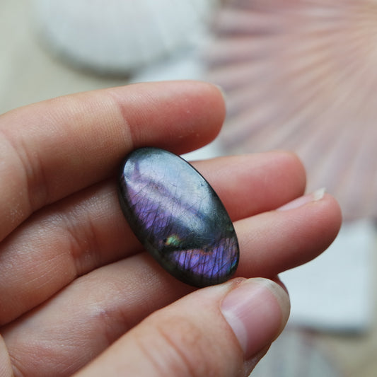 Lila Labradorit Cabochon ~ 12XQ